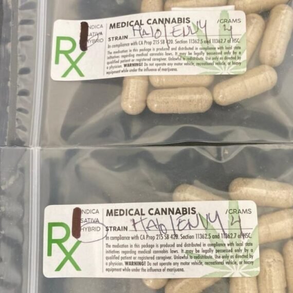 Mushroom Capsules 3.5g