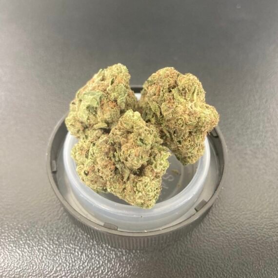 Lemon Cherry Gelato