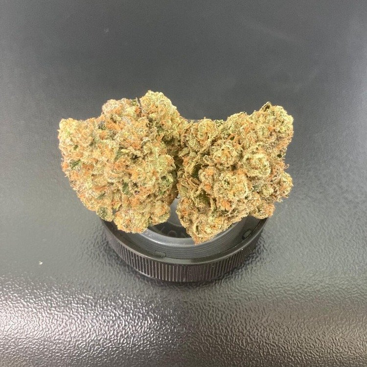 Yoda OG