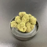 Black Cherry 🍒 Gelato 28g