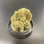 Gorilla 🦍 Glue