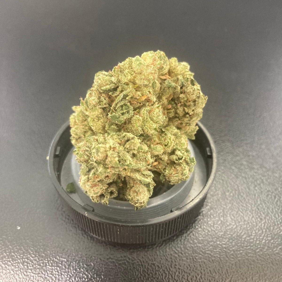 Gorilla 🦍 Glue