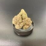 Gelato Runtz 🍧 BOGO