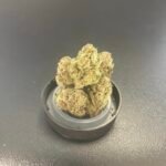 Lemon Cherry Gelato 🍧
