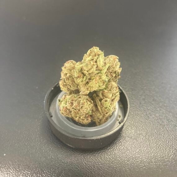 Lemon Cherry Gelato 🍧