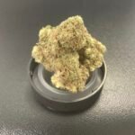 Gelato 28g