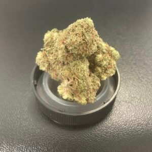 Gelato 28g