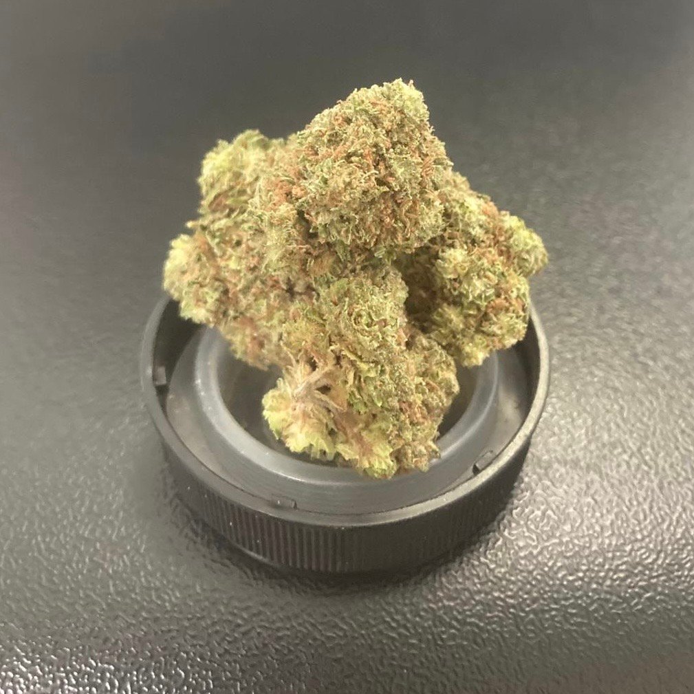 Gelato 28g